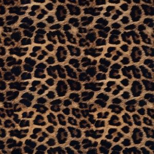 Meet your Posher, Rio